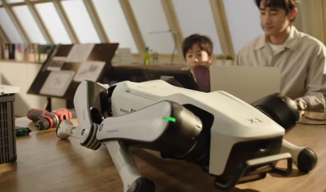 人玩具男士福音啊！开元棋牌国产成年(图1)